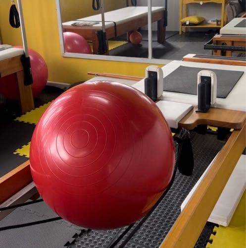 Academia Life Trainer