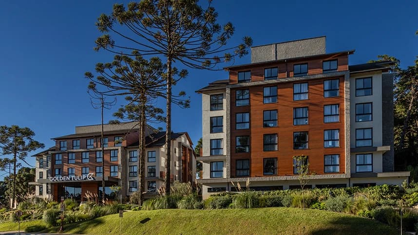 Golden Tulip | Canela