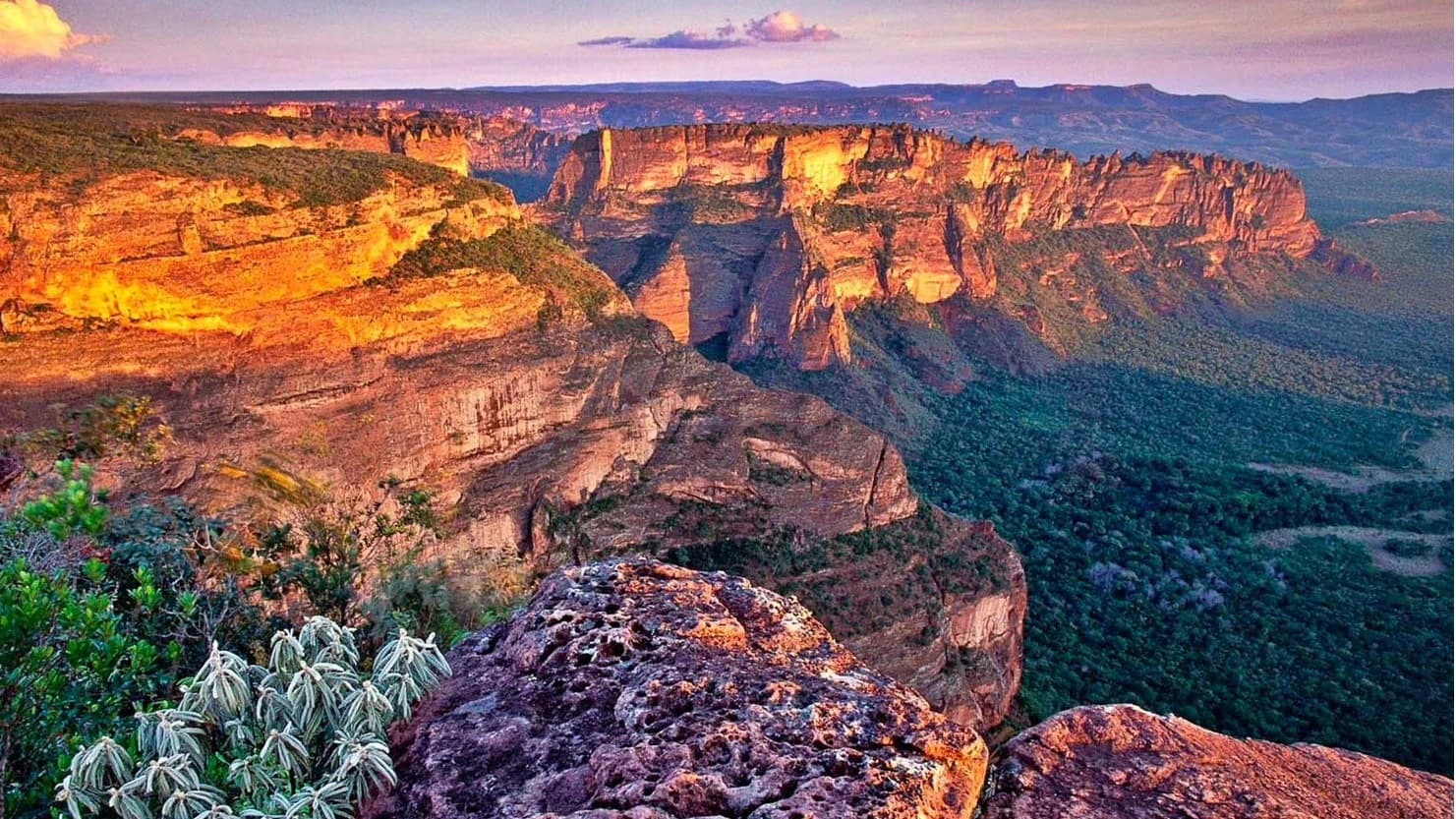 Caiman Tour | Chapada dos Guimarães (Pacote Chapada) 