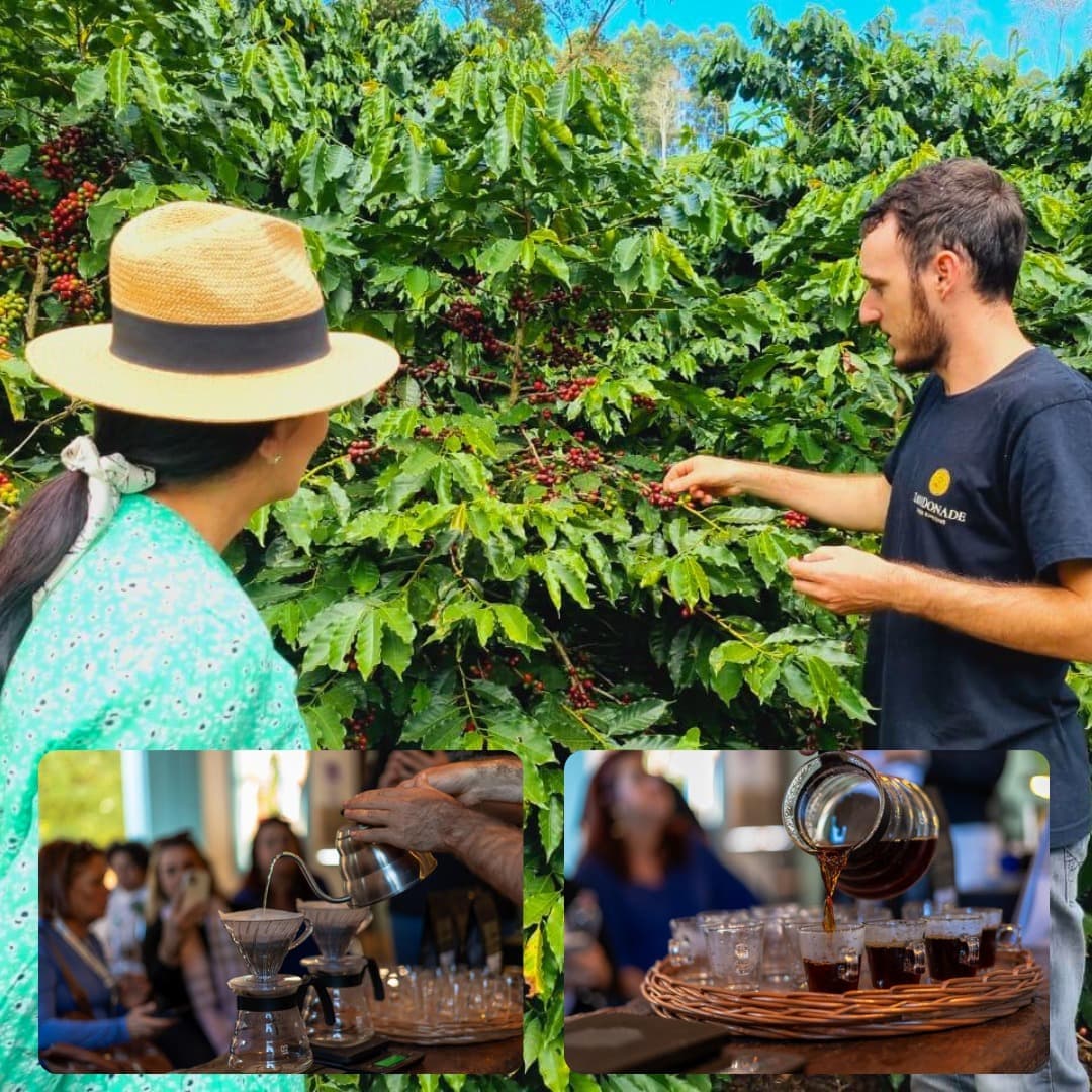 Zandonade Cafés Especiais | Venda Nova do Imigrante