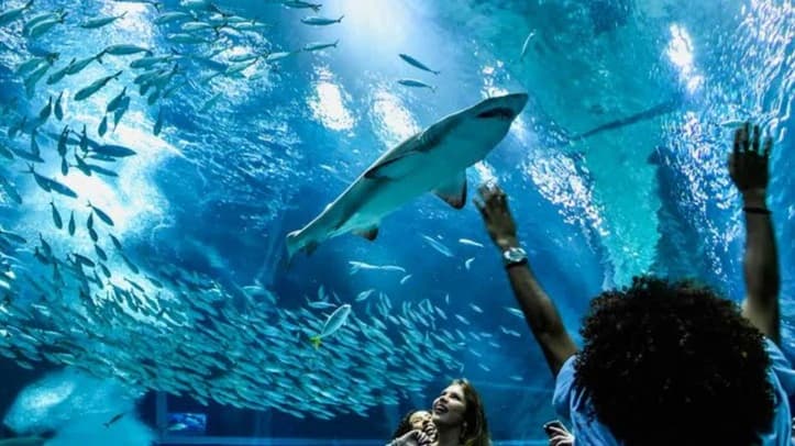 AquaRio + Boulevard Olímpico