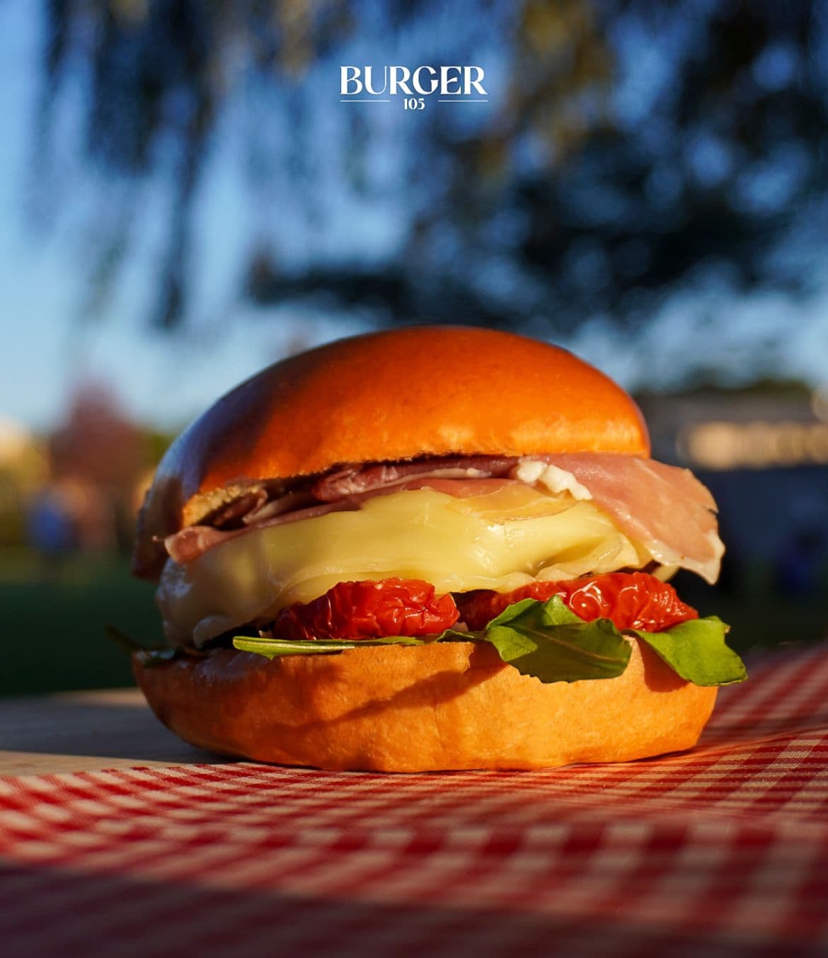 Burger 105