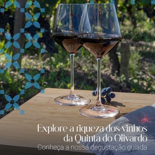 Quinta Do Olivardo