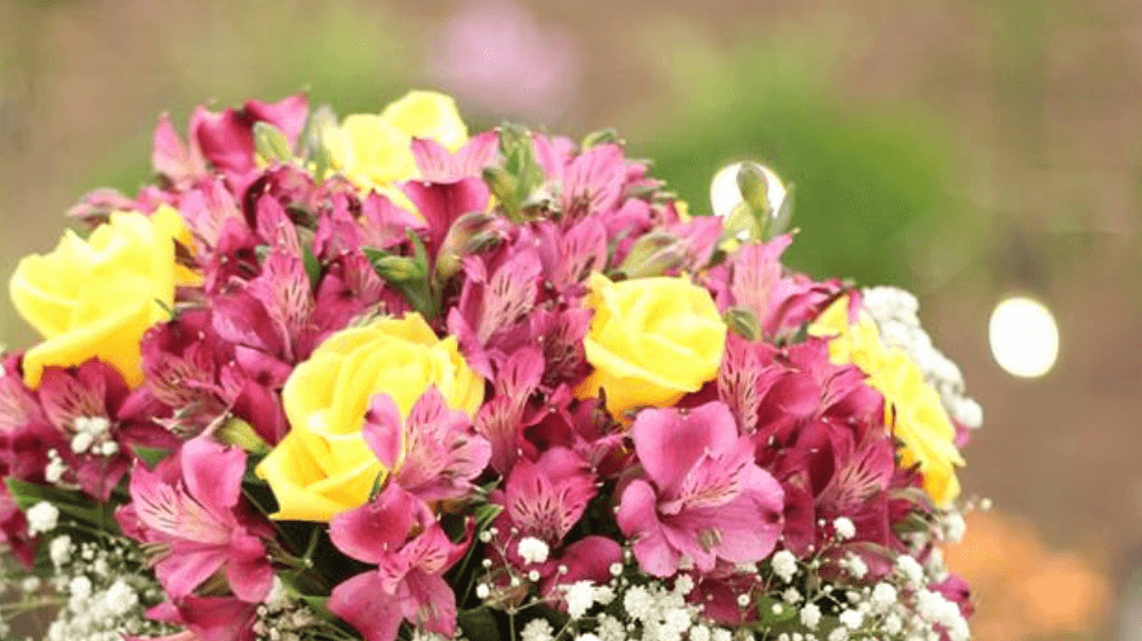 Chapada Flores | Sinop