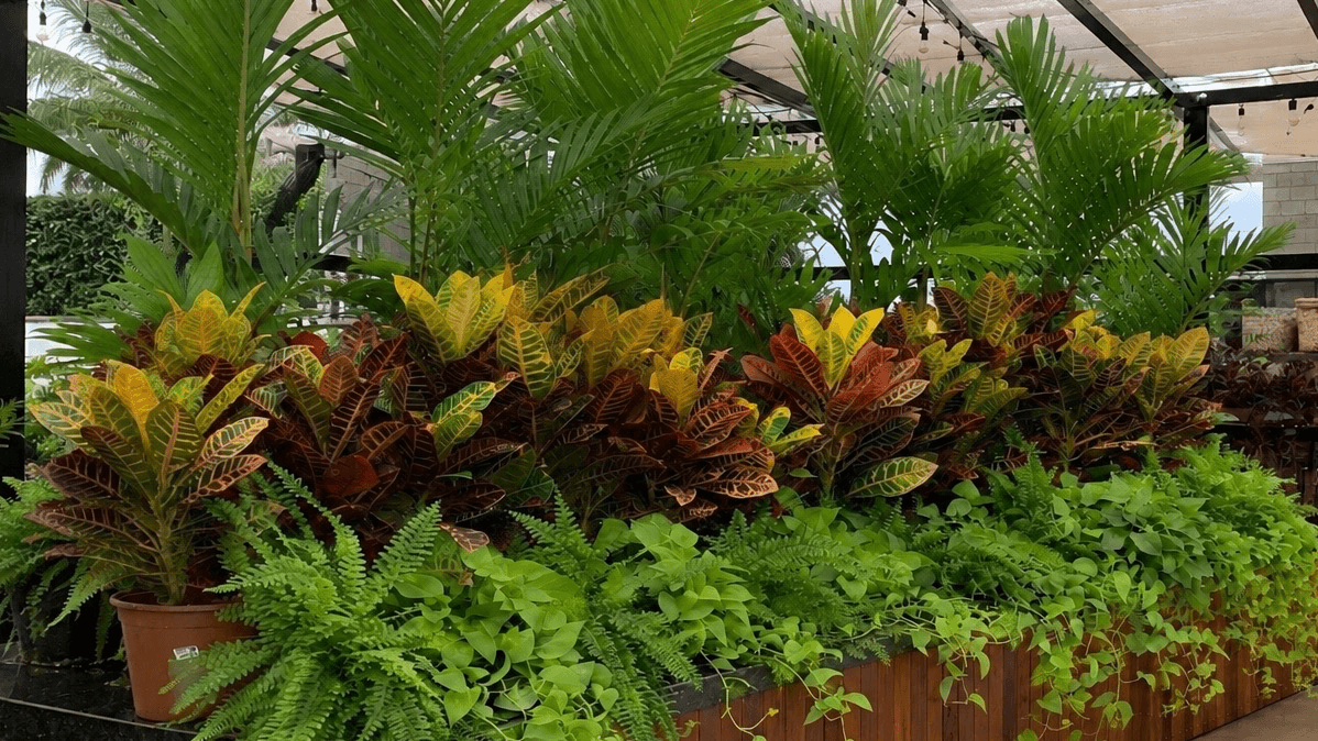 Stochera Mega Garden | Sinop