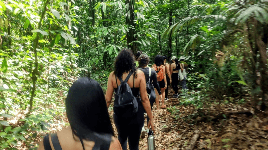 Amazon Roots