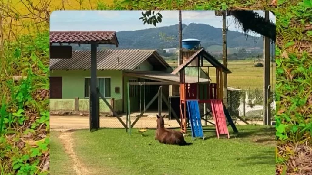 Sítio Recanto Dos Pássaros